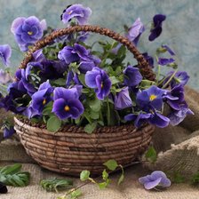 Схема вышивки «№687646»