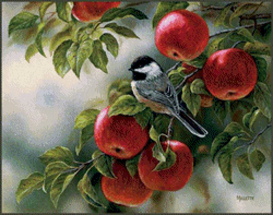 птица и яблоки - птицы - предпросмотр