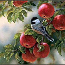 птица и яблоки