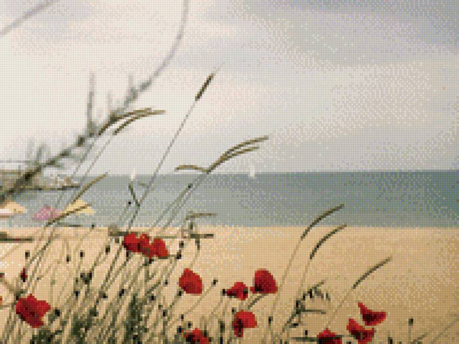 маки на берегу - спокойствие, кораблик, трава, озеро, маки - предпросмотр