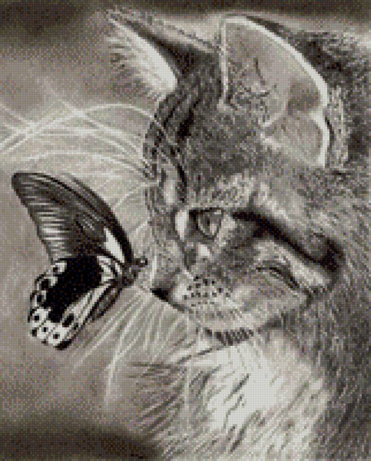 котенок с бабочкой - бабочка, котенок, животные - предпросмотр
