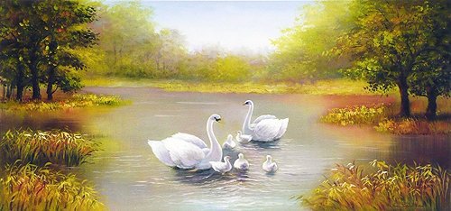 лебединая семья - лебеди, верность, семья, пруд, пейзаж, счастье, любовь, осень - оригинал