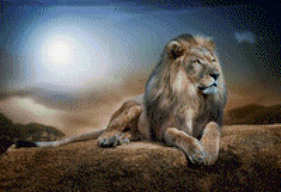 лев - кошки, животные - предпросмотр