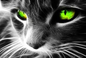 Кисюк - кошки, графика, животные - оригинал