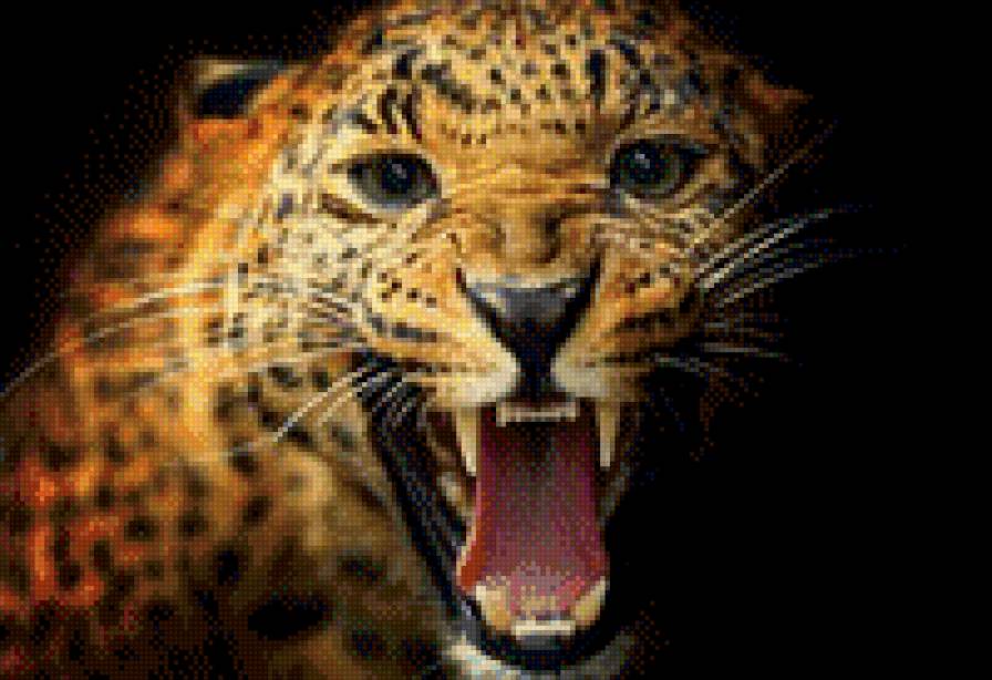 Рык - кошки, животные - предпросмотр