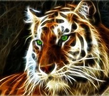 Тигра