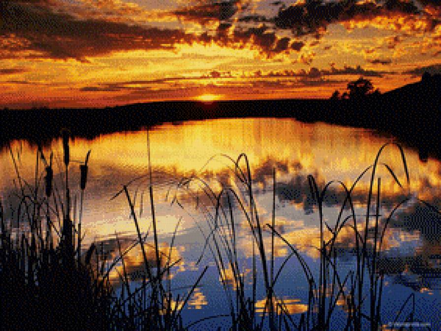 закат у реки - солнце, природа, камыши, небо, закат, река - предпросмотр