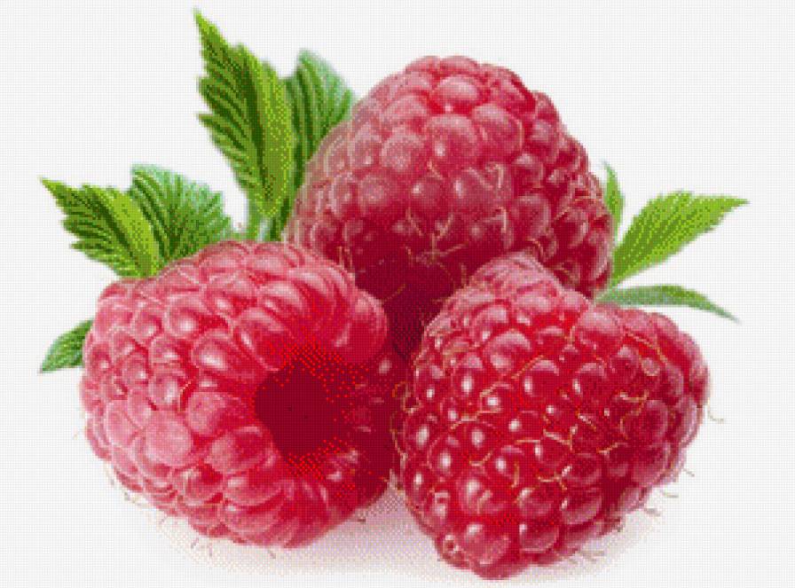 малина - фрукты, на кухню, малина - предпросмотр