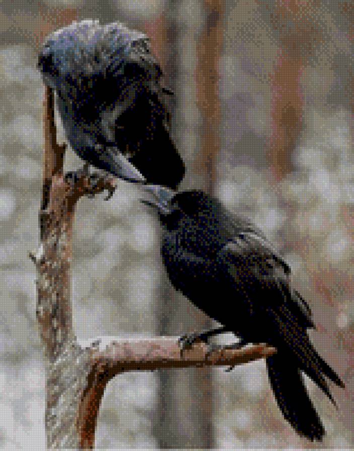 №688553 - предпросмотр