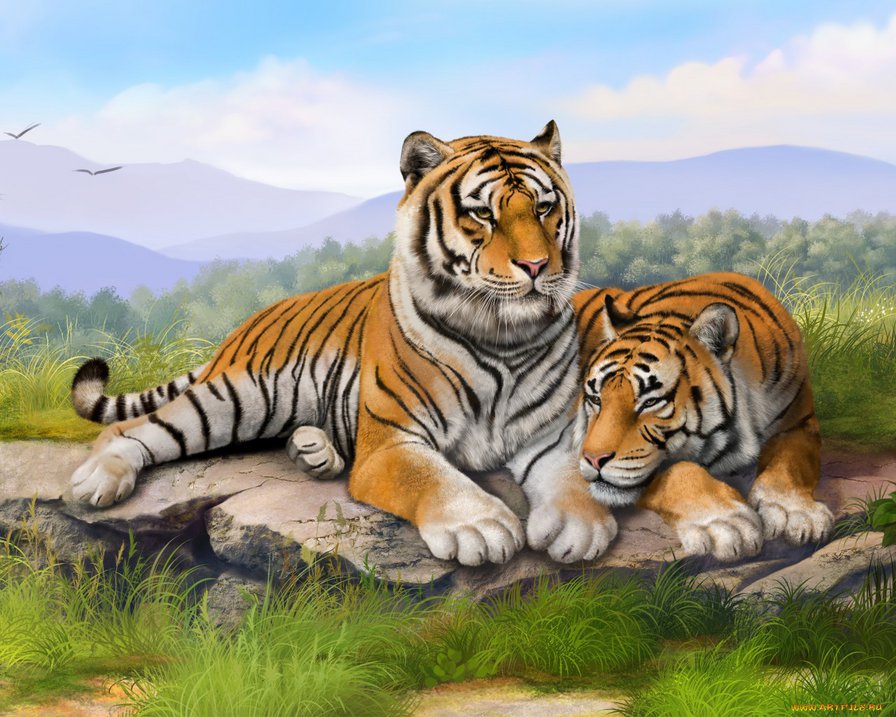 Тигры - кошки, тигры, животные - оригинал