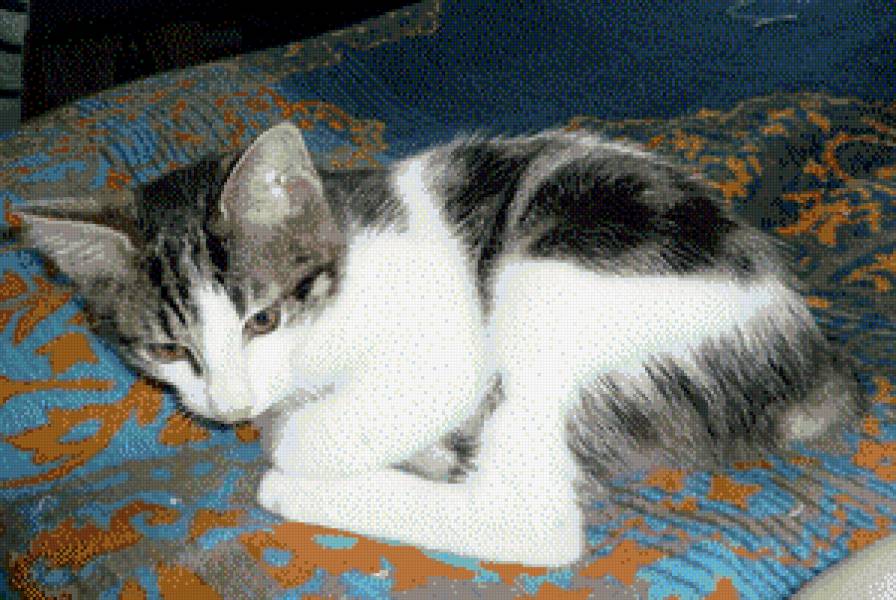 мотя 45 - предпросмотр