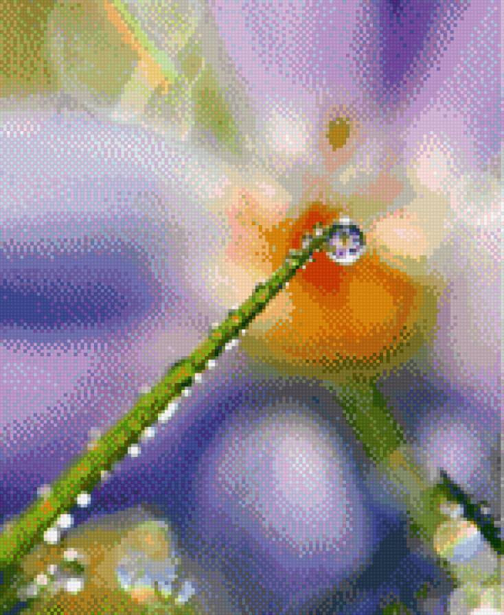 роса - природа, роса - предпросмотр