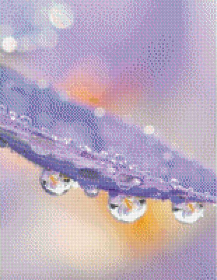 лепесток в росе - природа, роса - предпросмотр