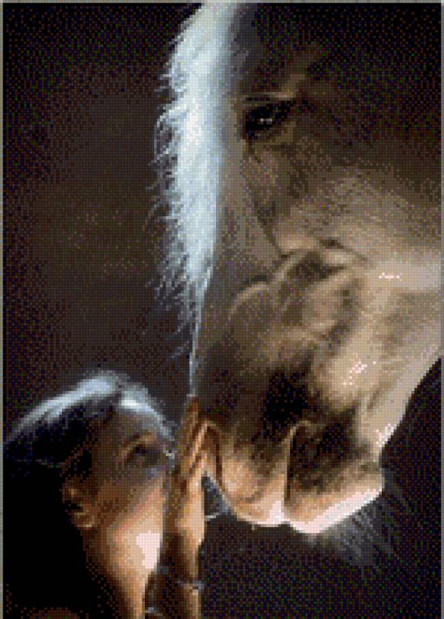 девушка и лошадь - лошади - предпросмотр