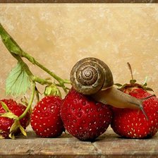 Схема вышивки «№688941»