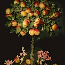 Схема вышивки «№688954»