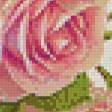 Предпросмотр схемы вышивки «нежные розы» (№688990)