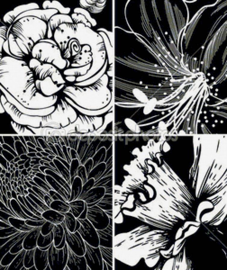 монохром - цветы, графика, монохром - предпросмотр