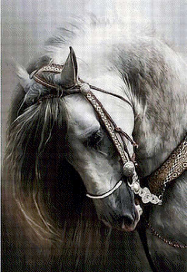 Конь - предпросмотр