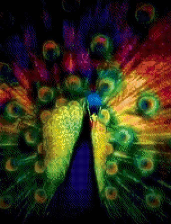 павлин - предпросмотр