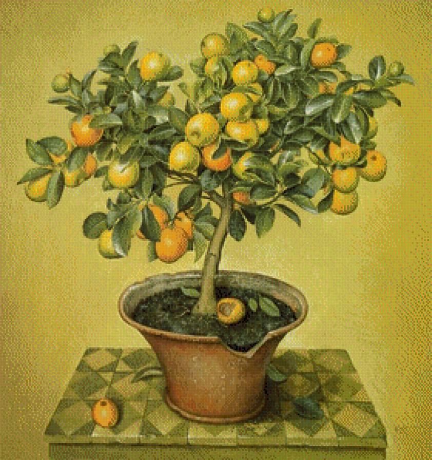 №689267 - предпросмотр