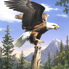 Схема вышивки «№689374»