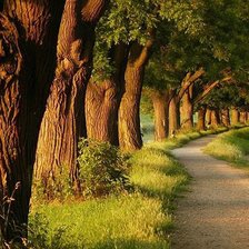 Дубовая аллея