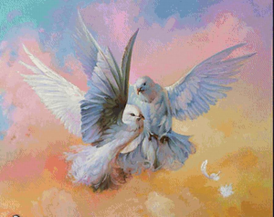 Голуби - природа, птицы - предпросмотр