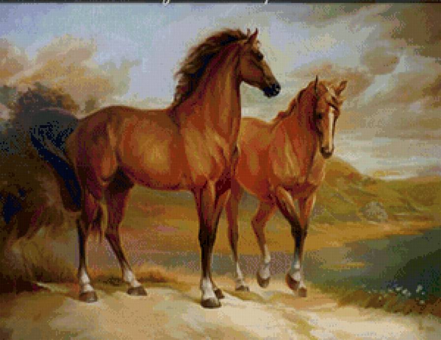 Лошади - животные - предпросмотр