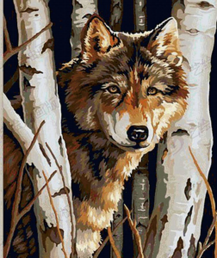 Волк - волки, животные - предпросмотр