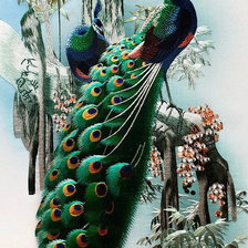 Схема вышивки «Павлины»