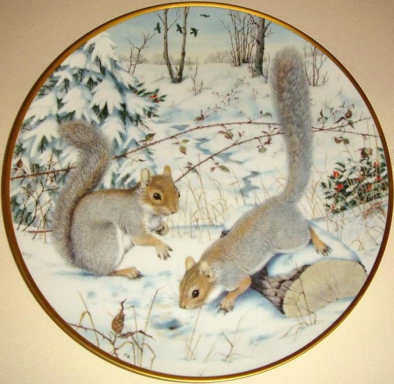 Белки - животные - оригинал