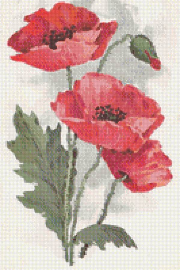 ретрооткрытки - цветы, маки, открытка, ретро, мак - предпросмотр