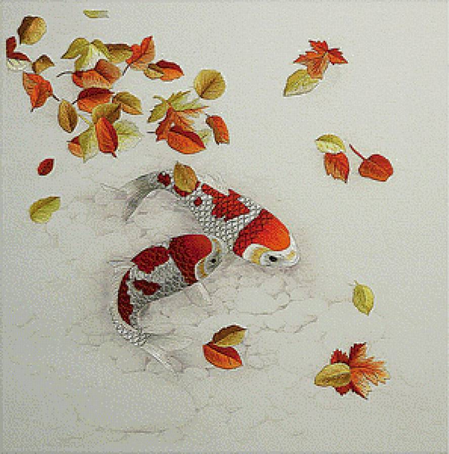 осенние карпики - предпросмотр