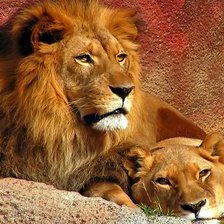 Схема вышивки «львы»