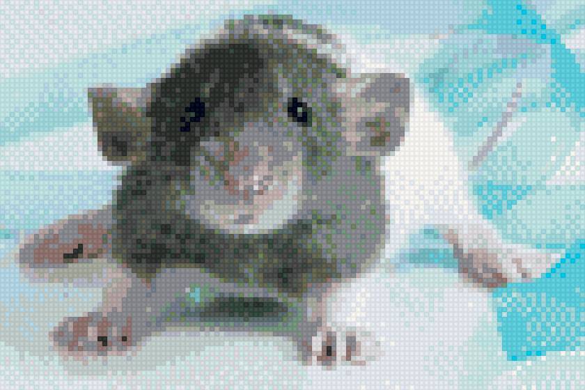 крыс - предпросмотр