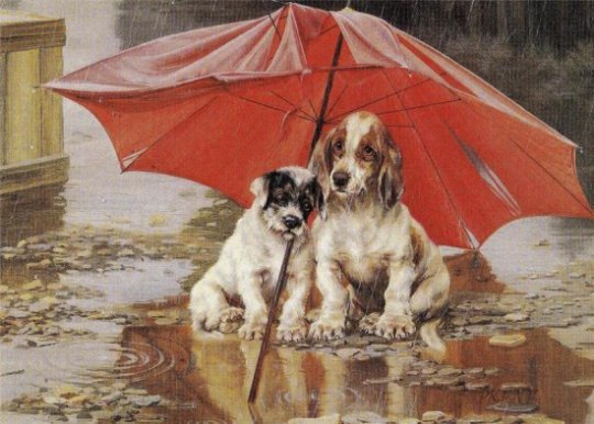 щеночки - под дождем, собаки - оригинал