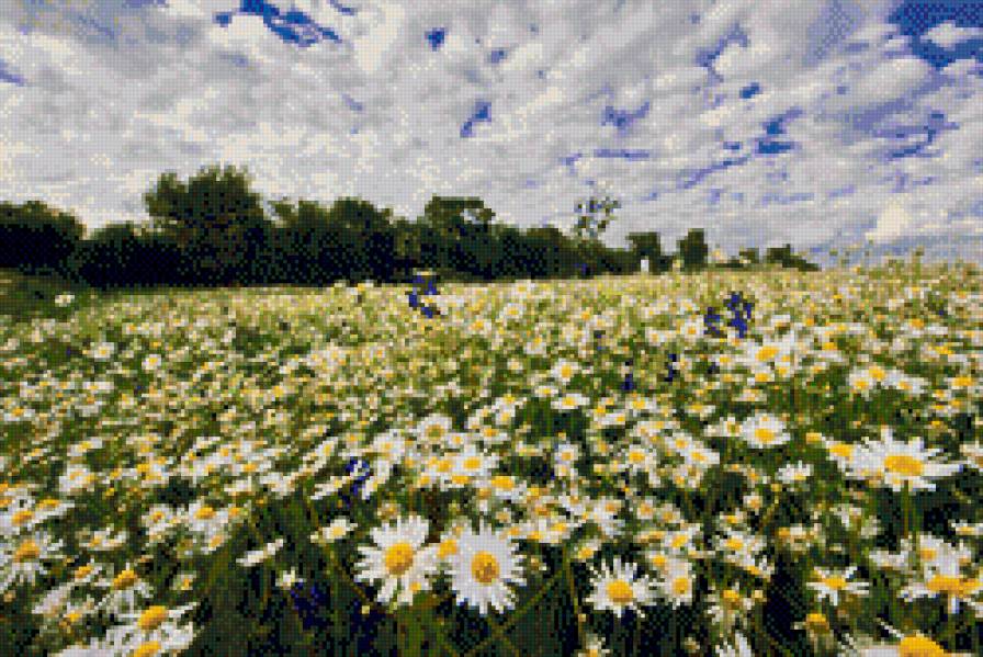 №690193 - предпросмотр