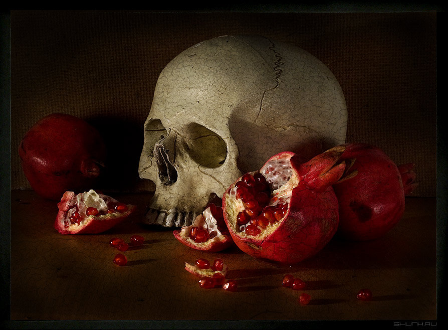 №690248 - череп, натюрморт, гранат - оригинал