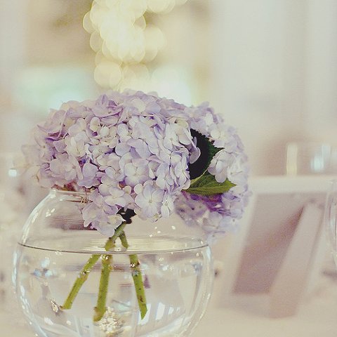 №690259 - цветы, сирень - оригинал