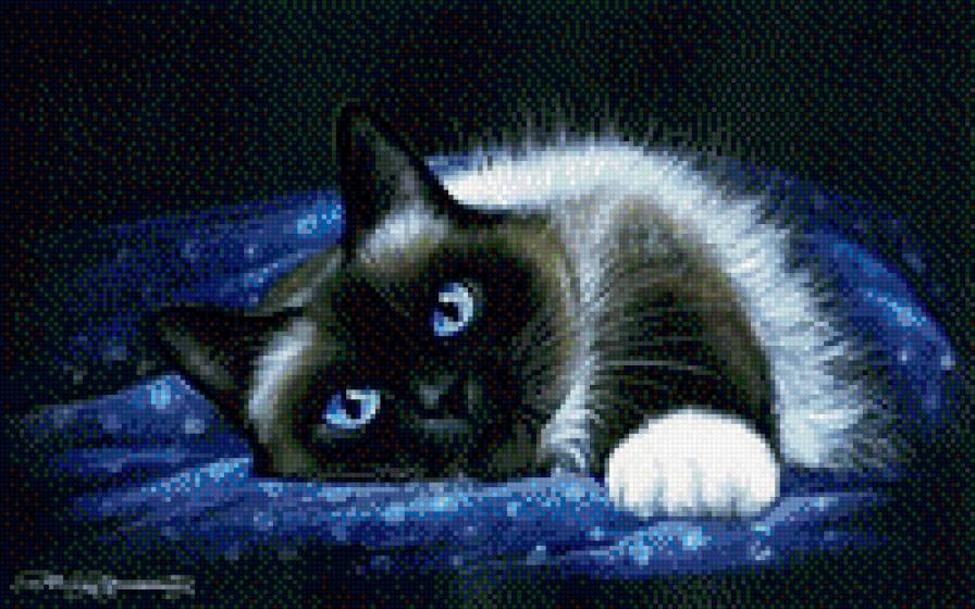 №690278 - котенок, звери, животные, кошки - предпросмотр