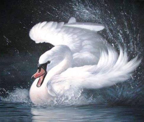 №690313 - оригинал