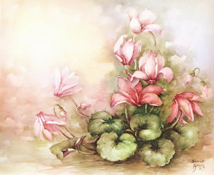 Цикламены - цветы, букет, пастель, цикламены - оригинал