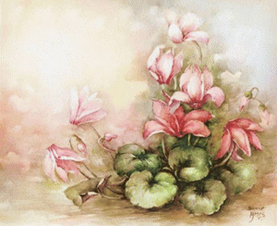 Цикламены - цикламены, букет, цветы, пастель - предпросмотр