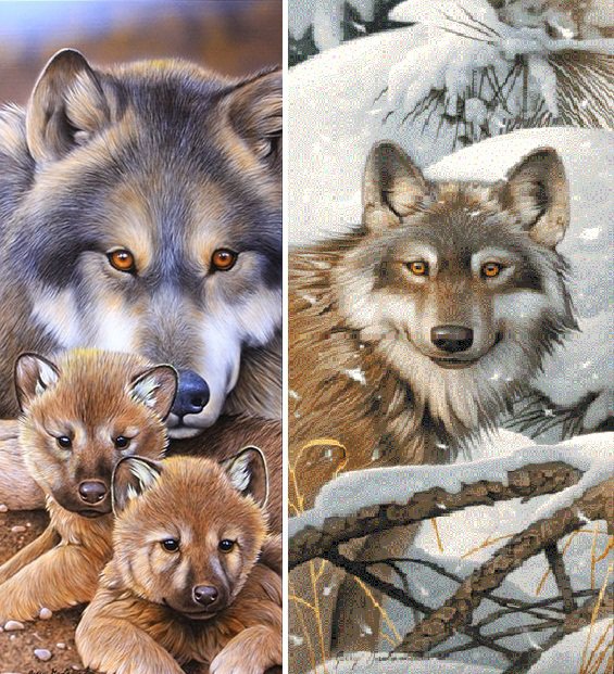 Волки - диптих - оригинал