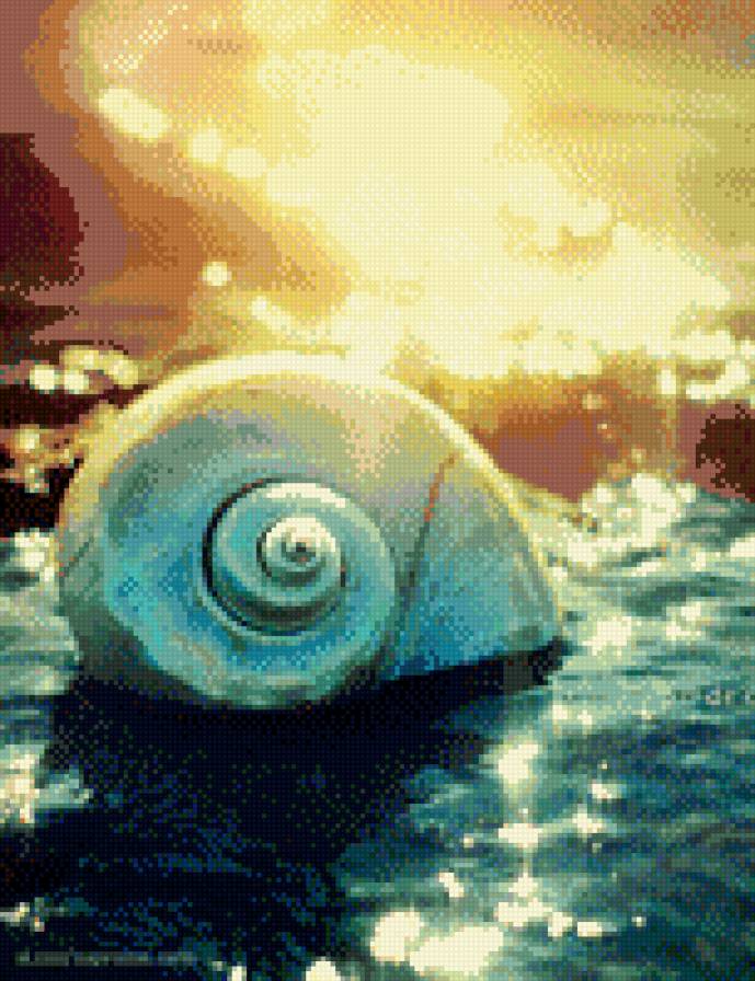 №690440 - ракушки, море - предпросмотр