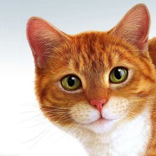 Схема вышивки «№690493»