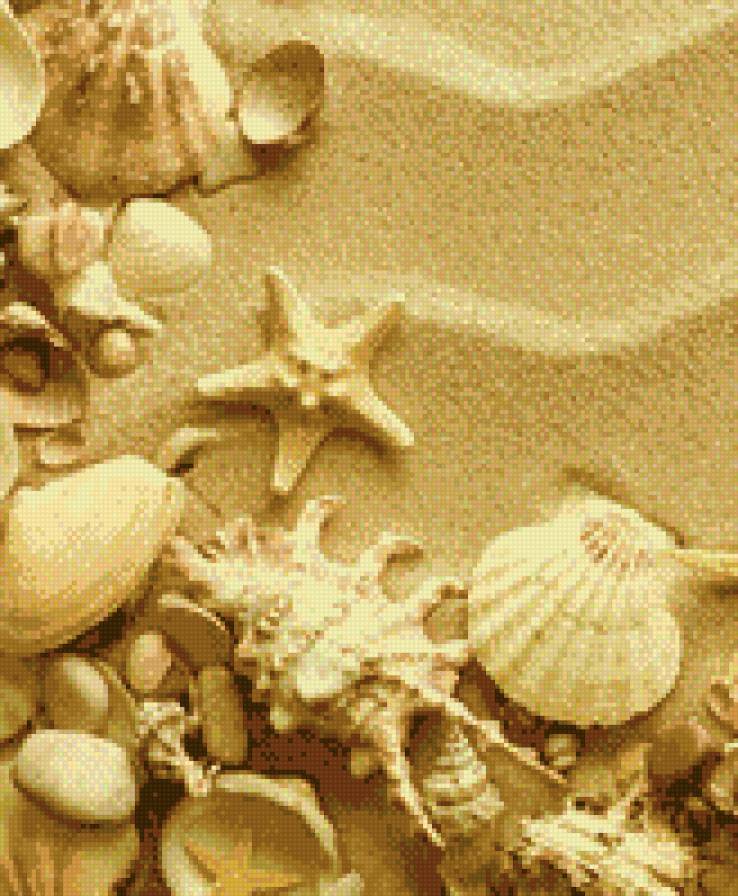 №690500 - ракушки, море - предпросмотр