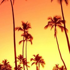 Схема вышивки «№690520»