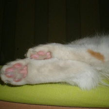 Схема вышивки «розовые пятки»